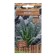 Cabbage seeds leaf "Fitness", 0.1 g
