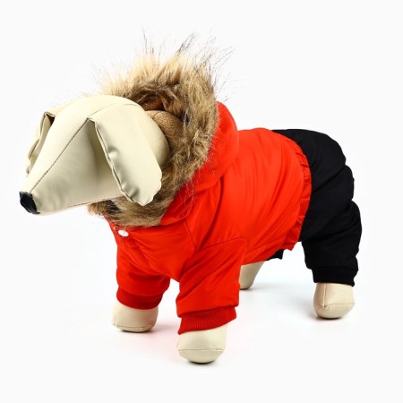 Clothing for dogs. Combineson winter "Warm Winter", Red-Cherry, Size L-9