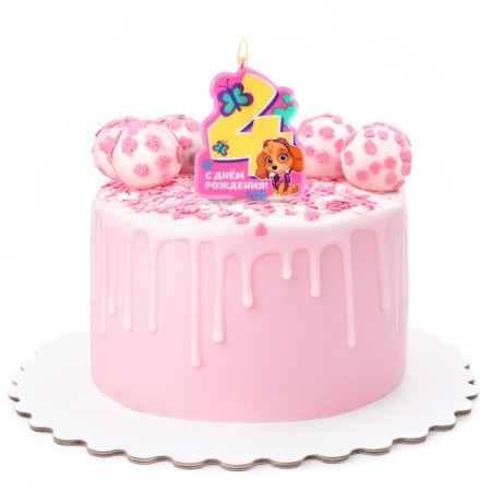 Candle in cake number 4 "Happy Birthday", puppy patrol-3