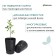 Pot for seedlings, re, 1.4 l, d = 14 × 17 cm, (packaging 10 pcs.) Greengo