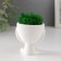 Kashpo concrete mini "Mr. Green" Ivazaru with moss white 5.5x6.5x6.5 cm (moss green stabil)