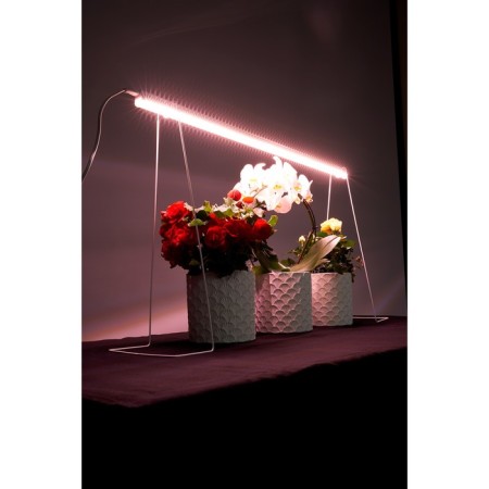 Holder for phytolamps DS-7000-1