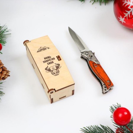 Folding “Pescar” knife 14.7cm, blade 64mm/1.5mm, in a gift box