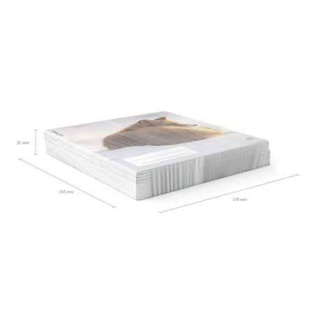 Notebook of 48 sheets in the Erichkrause cage, with a plastic cover, 5V, mix-12