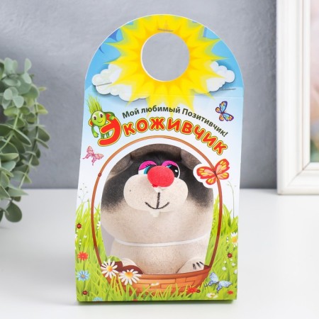 Growing gift Eco -Zhizhivchik "raccoon" mix-4