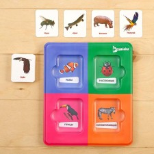Sorter 