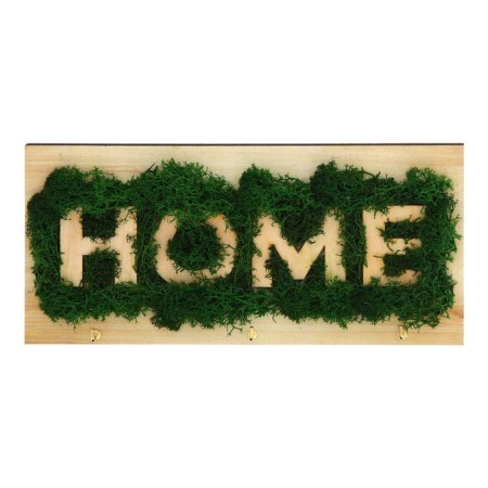 The keyrean is wall -mounted with moss "Home".-3