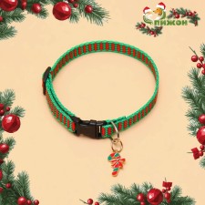 Collar + New Year's suspension 