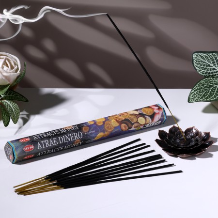 Incense hem "Attraacts money. Attracting money", 20 wands in packaging, hexagon