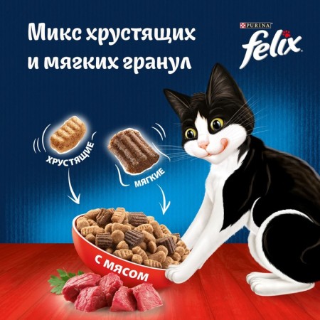 Dry food Felix "Double Yvannatina" for cats, meat, 200 g-3