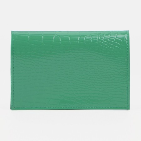 Cover for passport, green color-1
