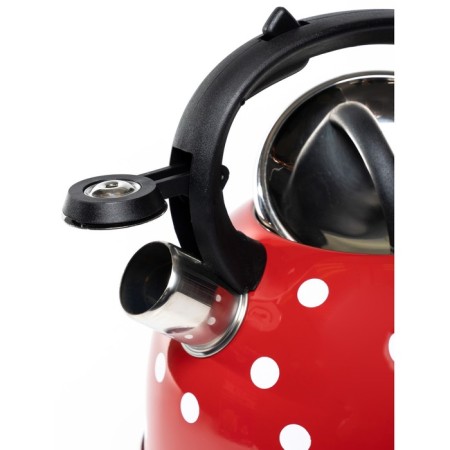 OLAFF kettle, 2.5 l-2