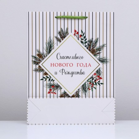 Laminated New Year and Christmas Package, 33 x 42 x 10 cm-3