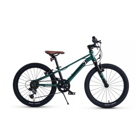 Bicycle 20 ’’ maxiscoo 7bike m200, emerald color