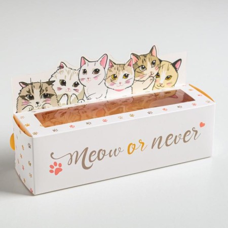 Makarun box of confectionery, packaging "Meow or Never", 18 x 5.5 x 5.5 cm