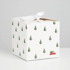 Folding box 