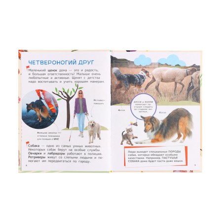 Encyclopedia for the first reading "Pets", large letters-2