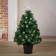 Fibrooptic Christmas tree 60 cm ball, D of the lower tier 36 cm, 55 branches