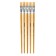 Sonnet brush No. 10, bristles, flat, long pen, d = 17 mm