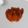 Decorative pheasant feather "Rice. Orange" set 20 pcs h = 5-7 cm