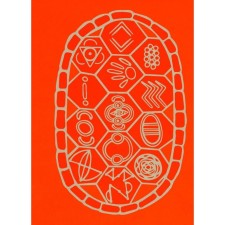 Talking in the sand. How native thinking can save the world. Yankade T.