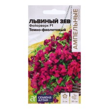 Seeds Lion Zev 