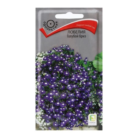 Flowers of Lobelia "Blue Breeze" 0.1 g