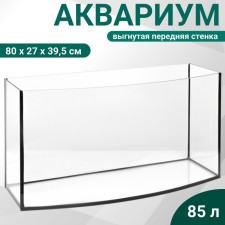 Aquarium 