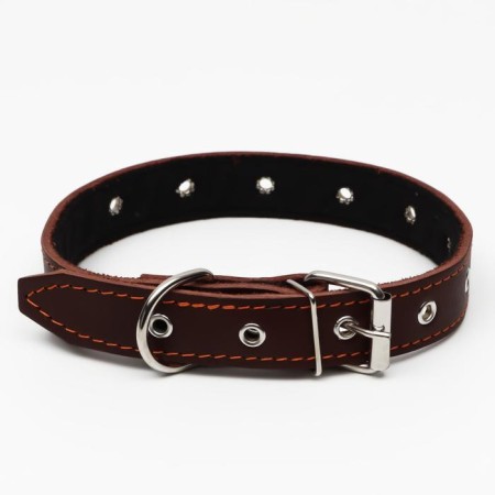 Leather collar on synthetic winterizer, dimensionless, 65 x 3 cm, Osh 22-55 cm, brown-1