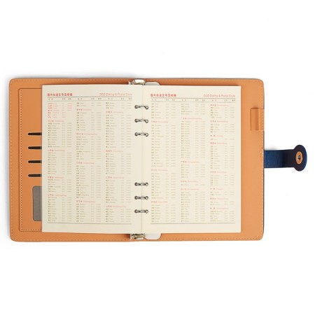 Organizer on the rings of "Classic" A5, 96 sheets in the ruler, with a strap, mix-5