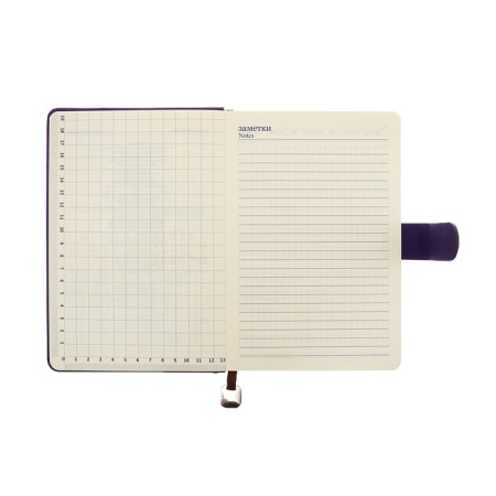 The diary of a non -section A5, 140l, cage, K/deputy, with a pen, in gift. box., purple-12