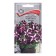 Grandiflora flowers "Galaxy", cherry, f1, 10pcs petunia