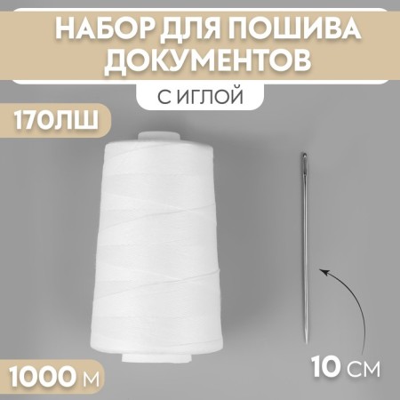 Set for flashing documents, 170lsh, 1000 m, with a needle 10 cm