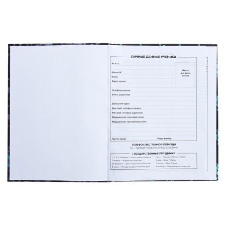 Universal Diary Grade 1-11, 48 sheets "Monster Call", integral cover, matte lamination, selective UV-fluid, congructor-4