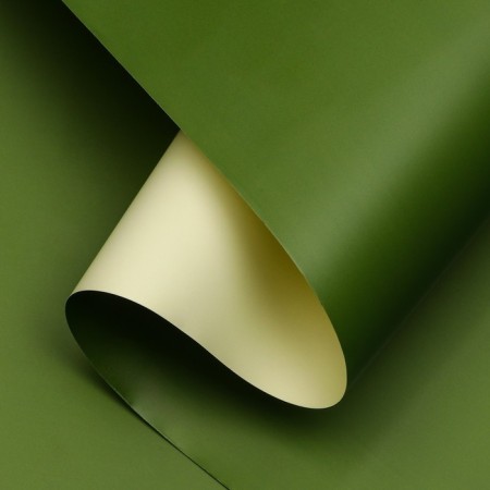 Bilateral film 0.6 x 10 m