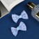 Hair clip "Schoolgirl" (set 2 pcs) pattern, 6 cm, blue