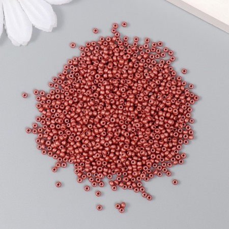 Glass beads 12/0 "coral reef" 15 g-1