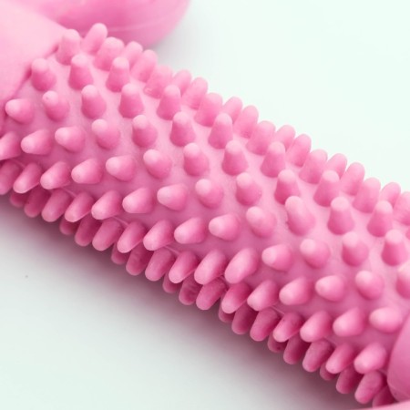 Dog toy "Key", TPR, Massage, 12 x 3.5 x 5 cm, pink-2