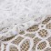 Lace elastic fabric, 170 mm × 23 ± 1 m, white color