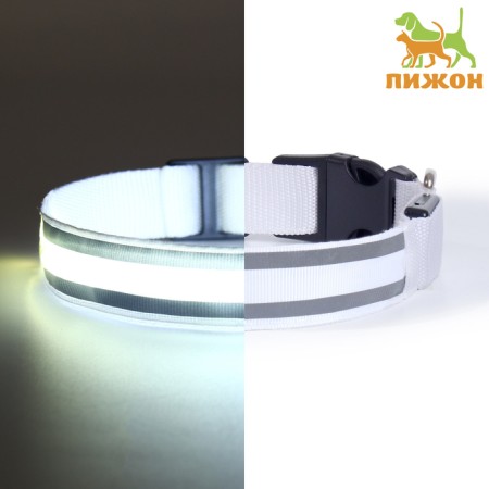 Collar with backlight double strip size m, Osh 40-48 x 2.5 cm, 3 glow modes White
