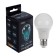 Luazon Lighting, A60, 9 W, E27, 780 LM, 6500 K, cold white lamp.