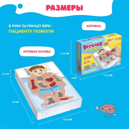 The board game for the development of "Fun anatomy" works from batteries, from 1 player, 5+-5