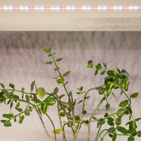 LED tape for plants ERA Fito-Strip Light-Ra90-3M full spectrum 3M IP65, with adapter 12-8