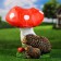 Garden figure "Mushroom with two hedgehogs" 27cm