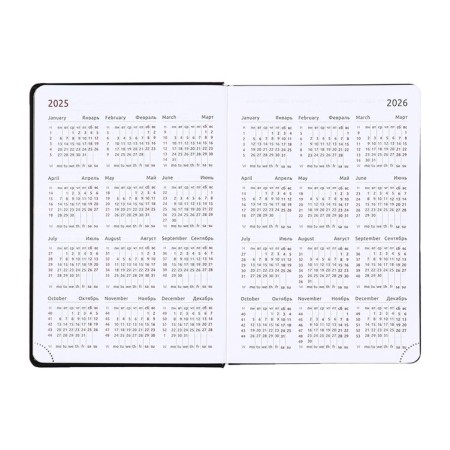 Dated diary 2025, Devente. Flag, A5 168 sheets, Devente. Duo, a hard cover to leatherette with foam rubber, silkography, perforation, liesse, block 70 g/m2-7