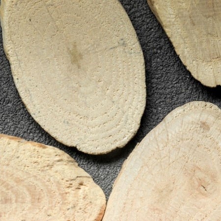 Saw the tree "oak", oval, d = 3-4 cm, h = 3.5 mm-2