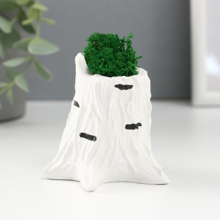 Kashpo concrete "stump birch" 7.5x8.5x7 cm with moss (moss green stabilized)-1