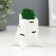 Kashpo concrete "stump birch" 7.5x8.5x7 cm with moss (moss green stabilized)
