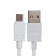 Network charger BYZ B35, 2 USB, 2.1 A, Microusb 1 m, white cable
