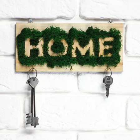 The keyrean is wall -mounted with moss "Home".